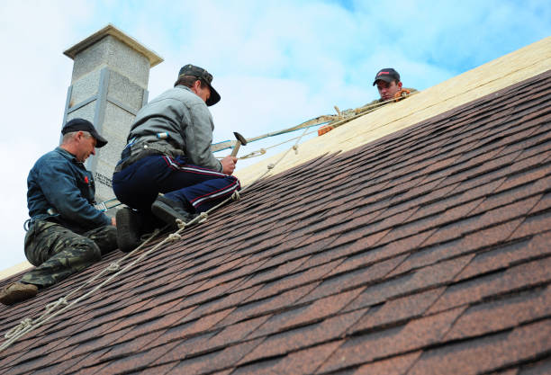 Best Roof Gutter Cleaning  in Whiteriver, AZ